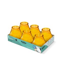 Twilight® (tray of 6's) Amber